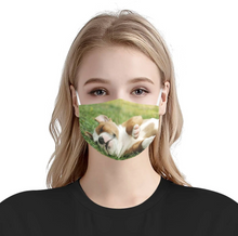 Load image into Gallery viewer, Personalized With Your Pet&#39;s Photo - Cloth Face Mask 3 Pack, 5 Pack