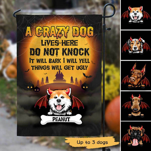 Crazy Dogs Live Here Halloween Personalized Garden Flag 12
